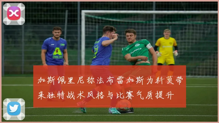 加斯佩里尼称法布雷加斯为科莫带来独特战术风格与比赛气质提升