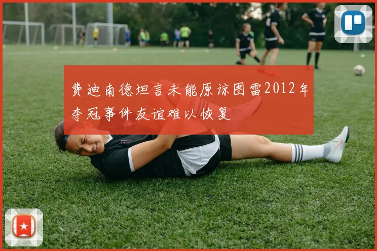 费迪南德坦言未能原谅图雷2012年夺冠事件友谊难以恢复