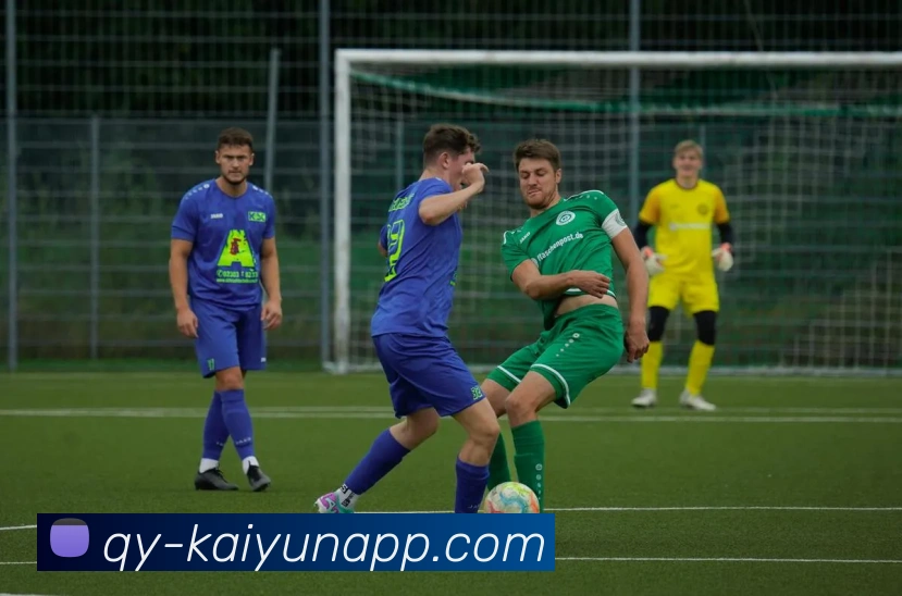 开云体育APP 高清赛事图